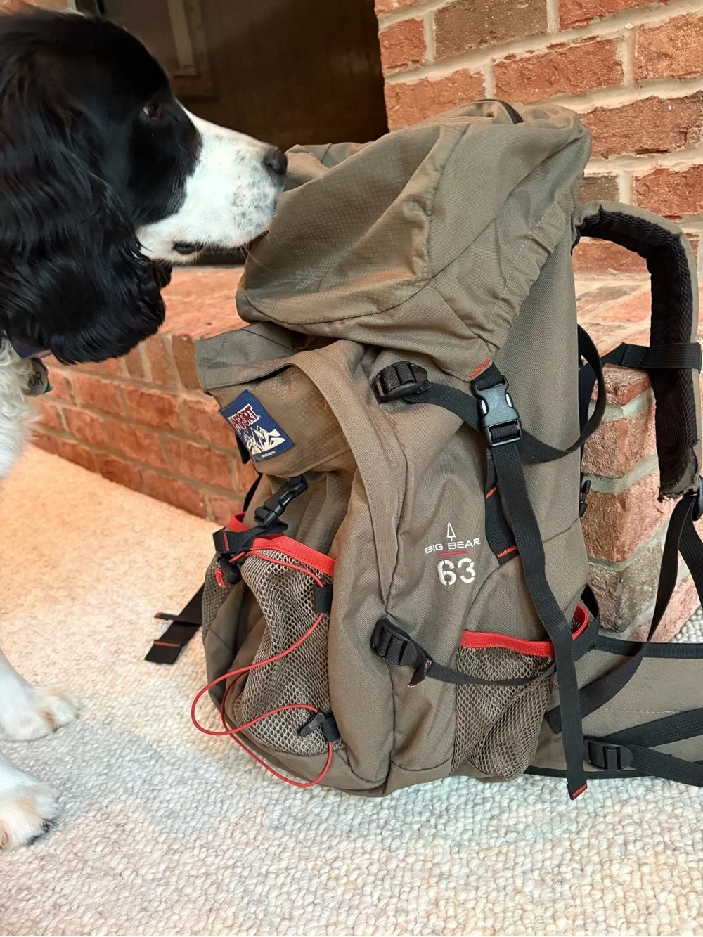 Jansport Grizzly Bear 63 Liter Backpack